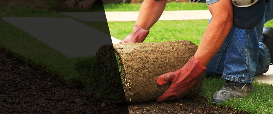 Newland Landscapers